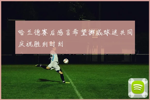 哈兰德赛后感言希望挪威球迷共同庆祝胜利时刻